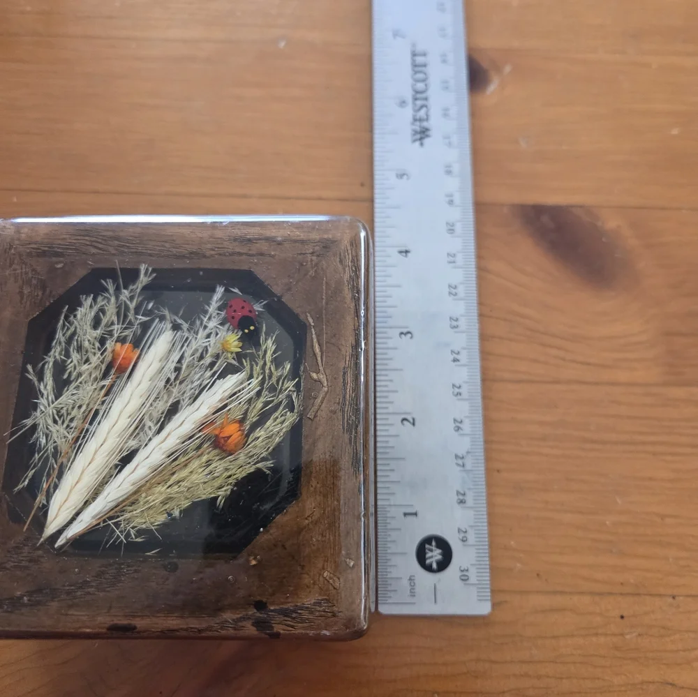 70s Wood Box With Resin Top That Has Dried Flowers And A Lady Bug
